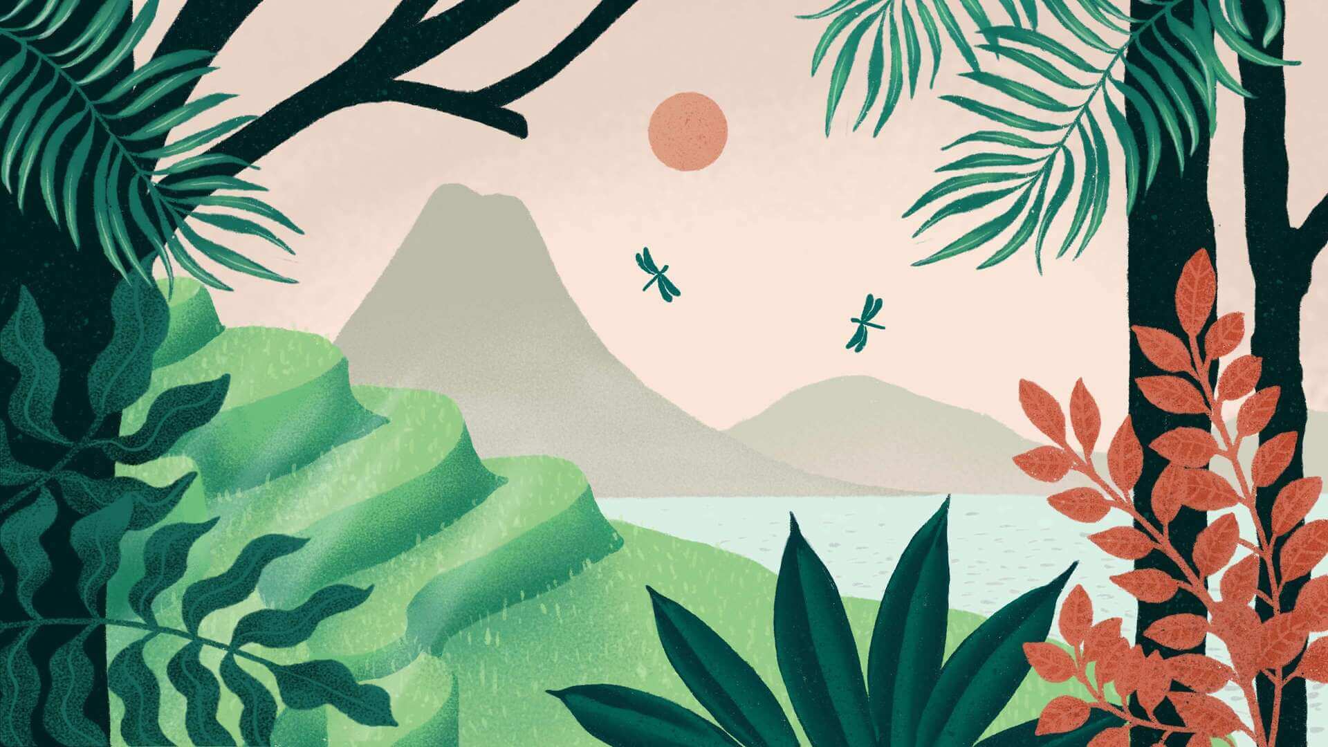 landscape
